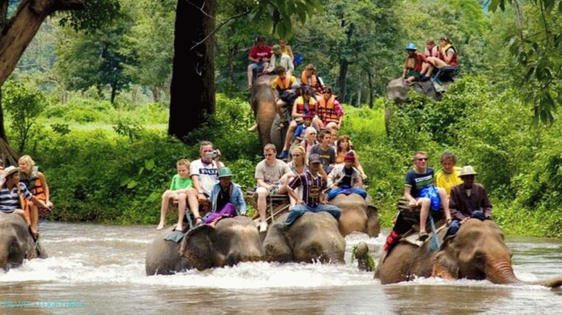 Entertainment in Thailand - Elephant Rides