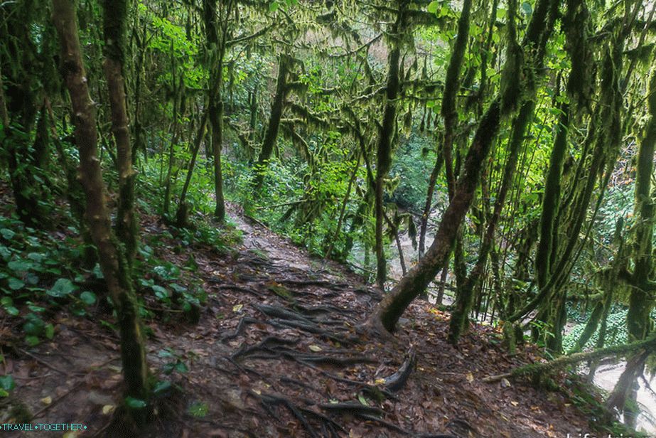 The path goes forward for kilometers