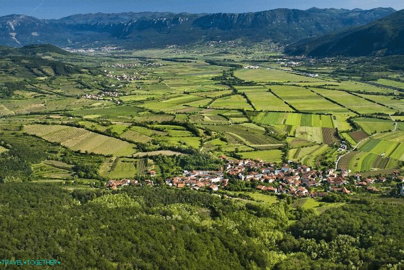 Vipava Valley