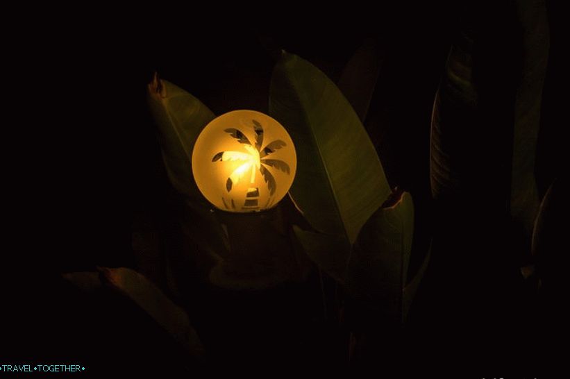 Agama Yoga - retreats and yoga classes in Phangan