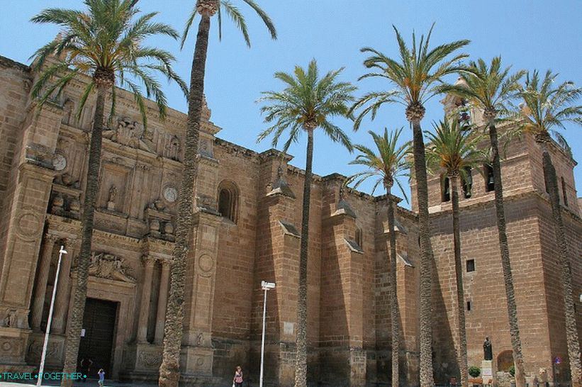 Cathedral 