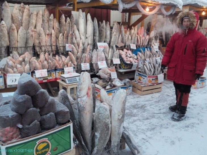 puteshestvie-v-yakutiyu-18