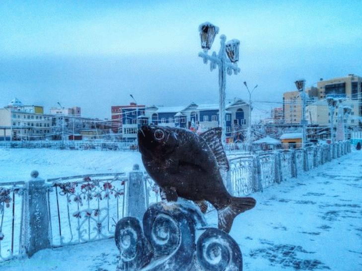 puteshestvie-v-yakutiyu-06