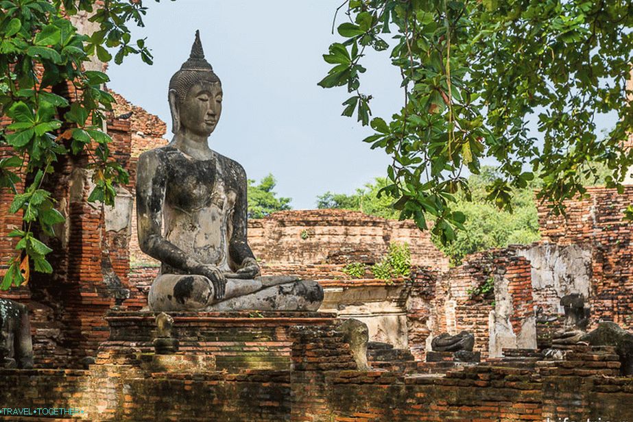 Buddha among the ruin and trees