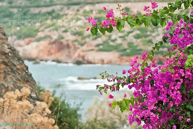 Bali in Crete - an effective treatment for chronic insufficiency of rest!