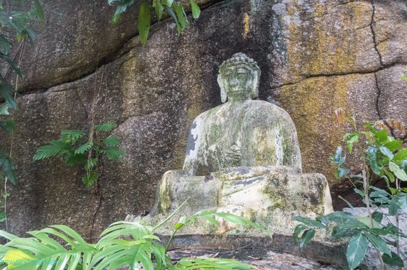 Samui Camp Bar - the best point on Samui and the terrible Buddha in the forest