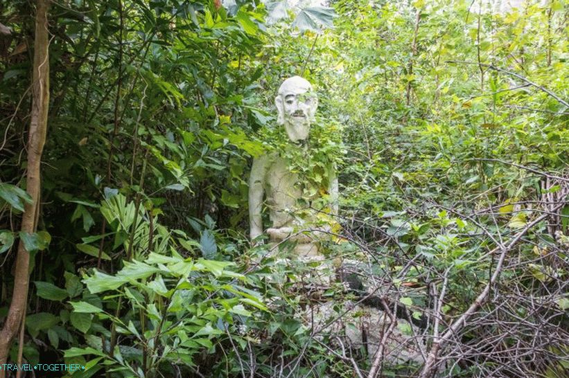 Samui Camp Bar - the best point on Samui and the terrible Buddha in the forest
