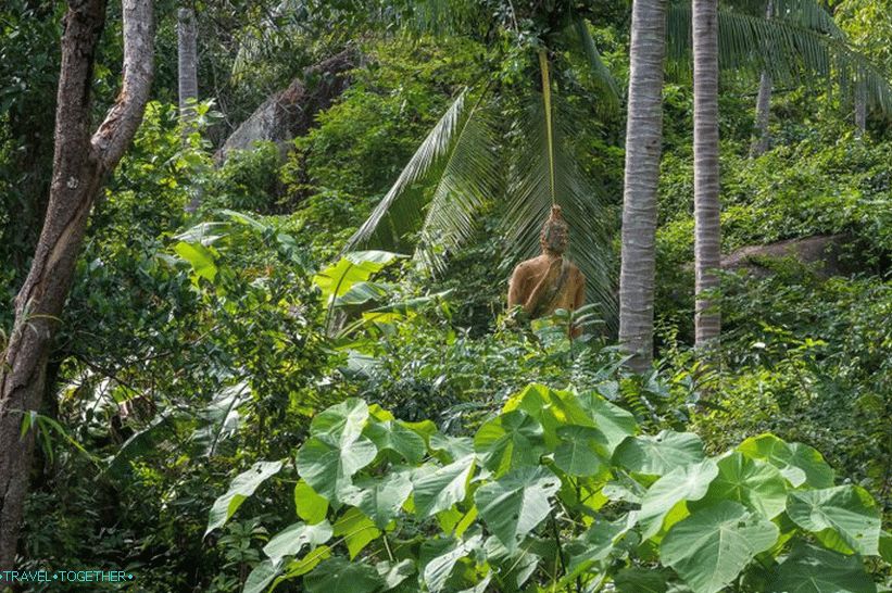 Samui Camp Bar - the best point on Samui and the terrible Buddha in the forest
