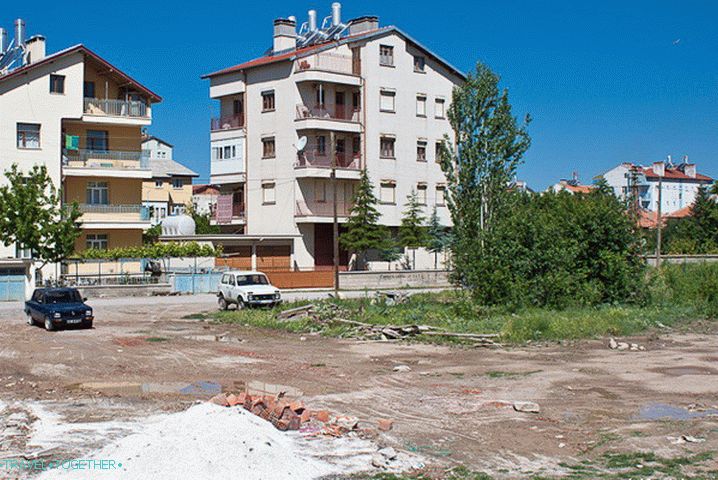 Our field in the city of Beyşehir.