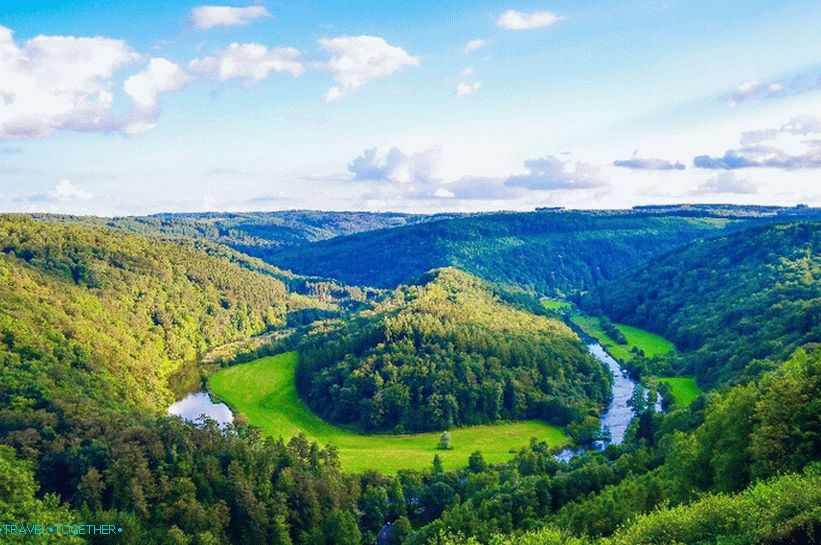 Ardennes forests
