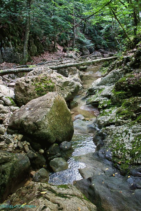 The bed in some places littered with stones
