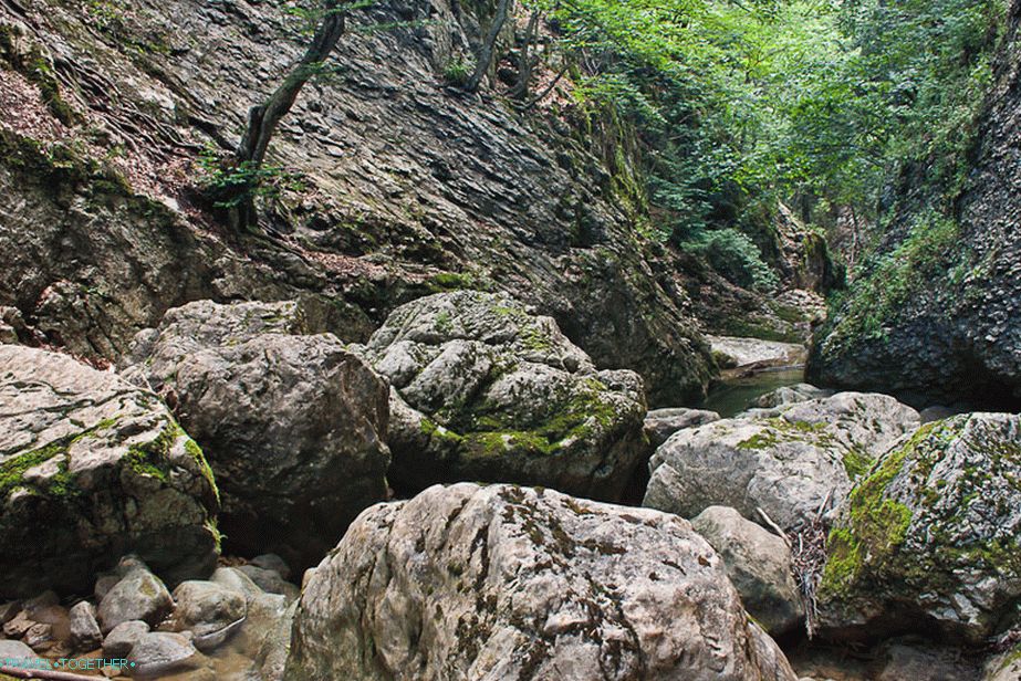 You feel like a fairy tale