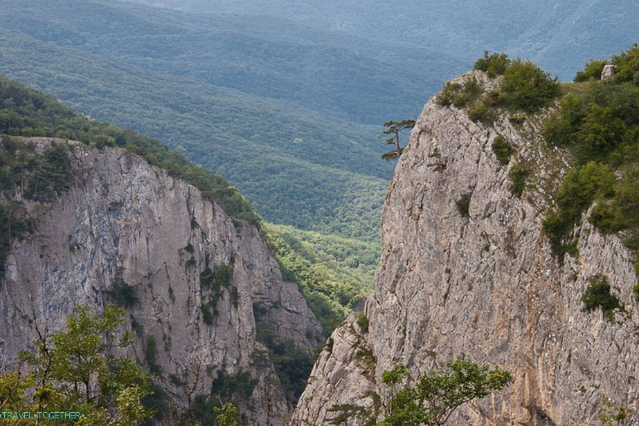 And how trees grow on these rocks