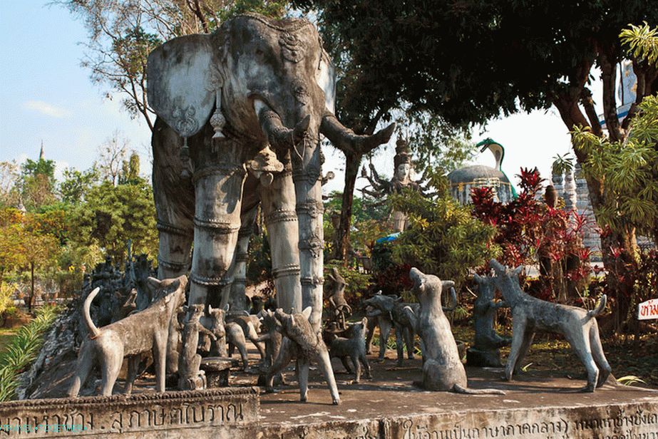 Fable - Pugs and Elephant