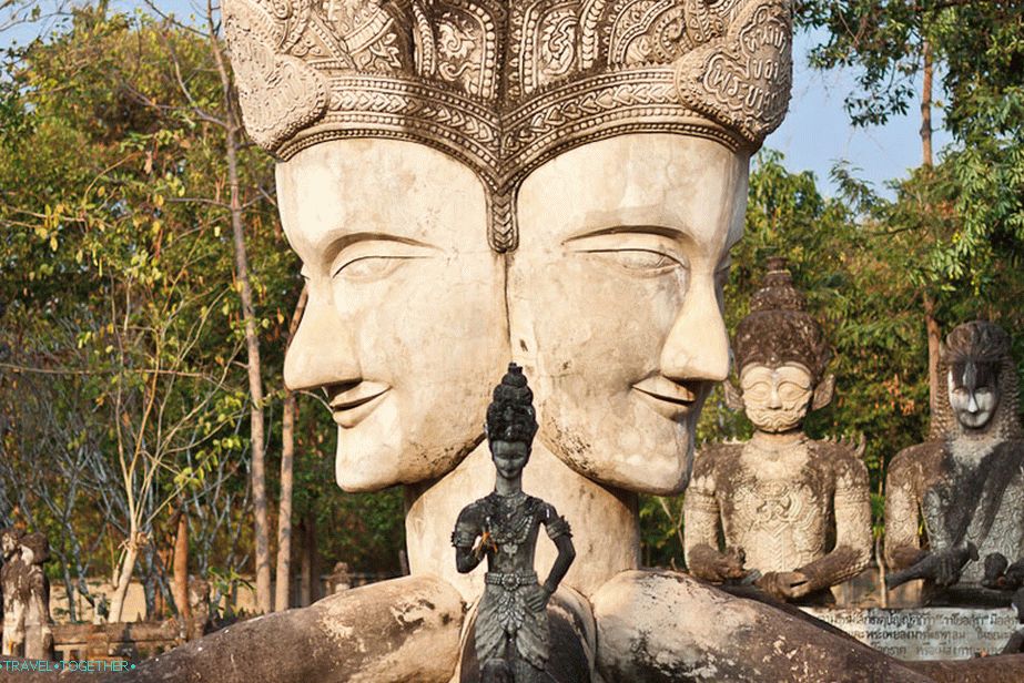 In the center of the circle of life