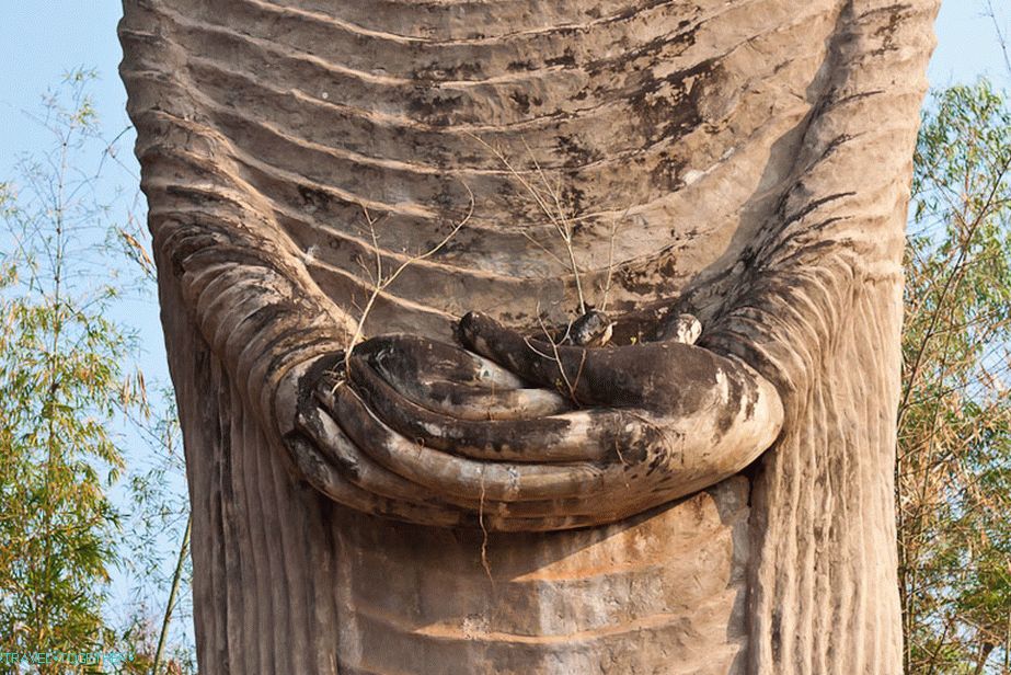 Trees grow in the hands