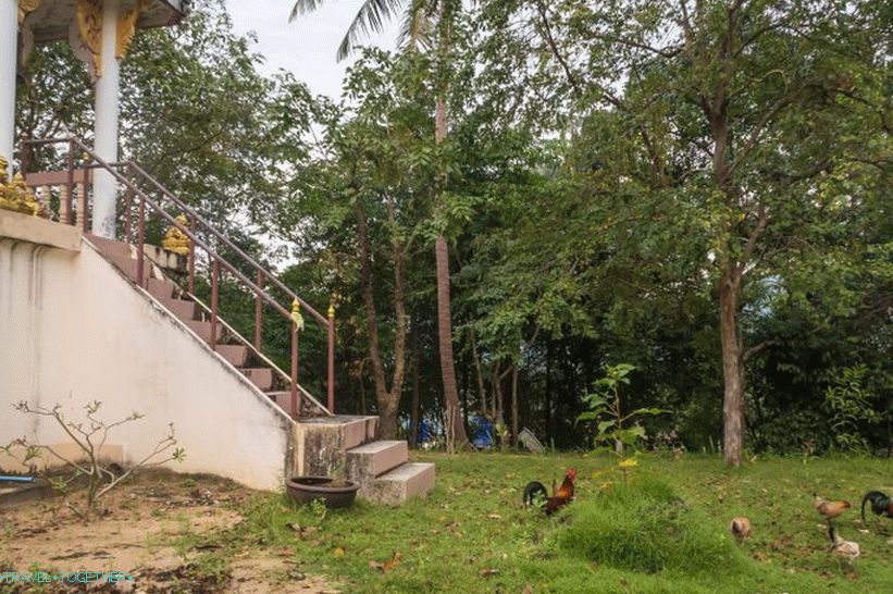 Phu Kha Noi Buddhist Temple on Phangan - the oldest on the island