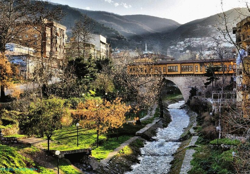 Bursa