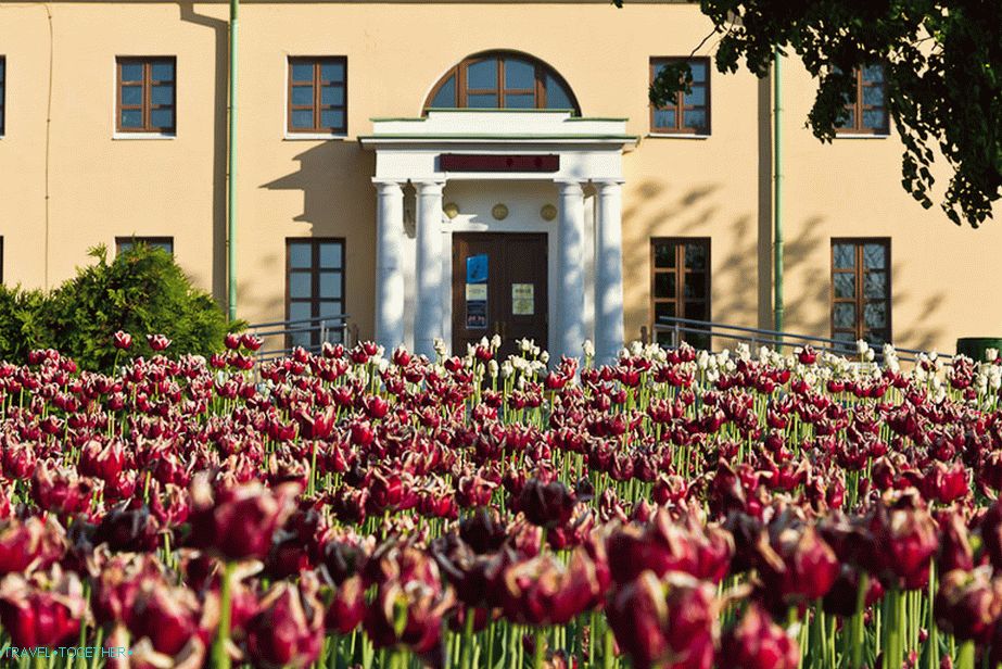 How do you like such a lawn in front of your own house?