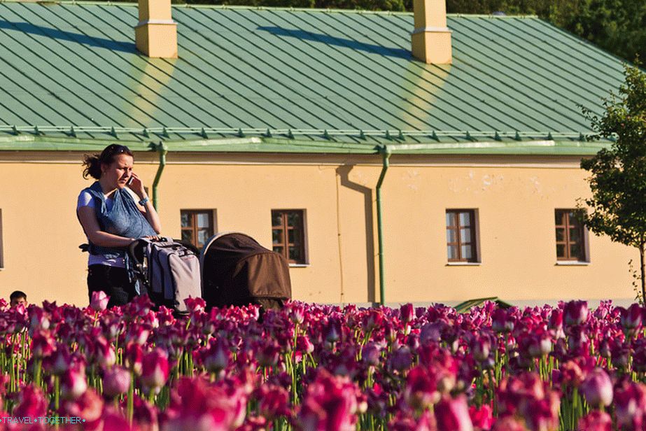 Buried in flowers