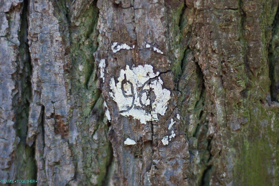 Some trees are numbered