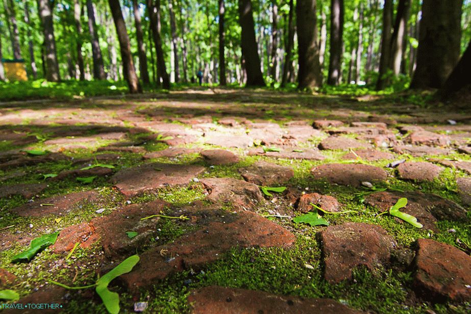 The path paved with bricks