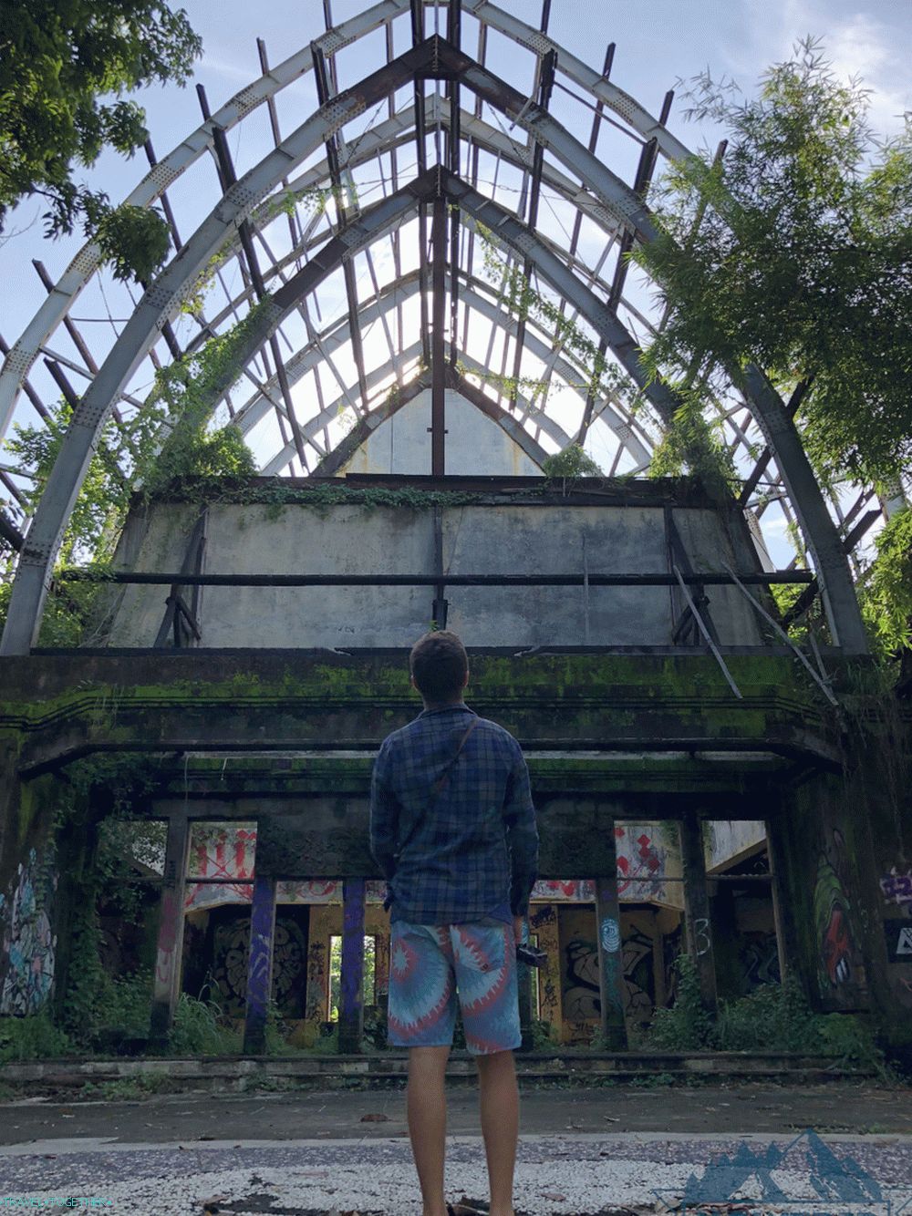 Bali's fermented zoo