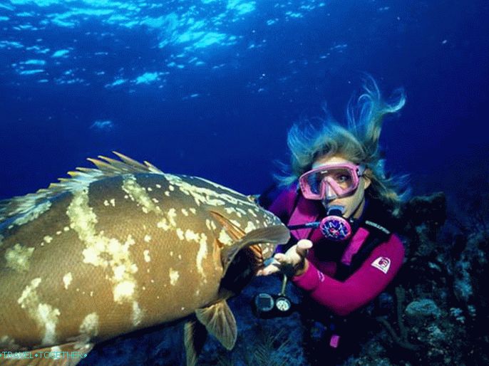 What to do in Turkey - diving