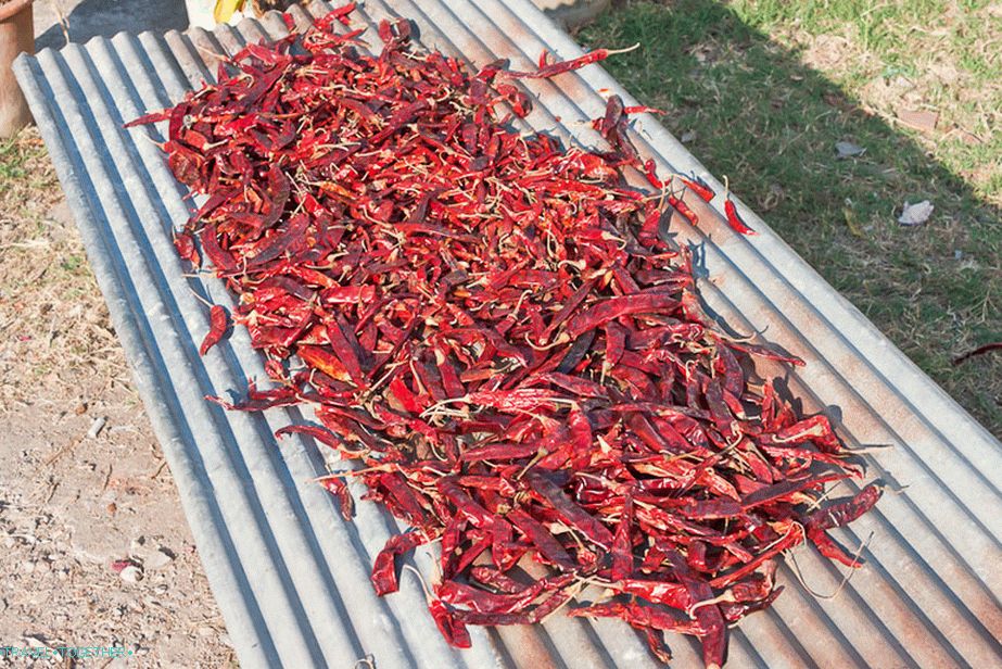 The main ingredient of Thai cuisine