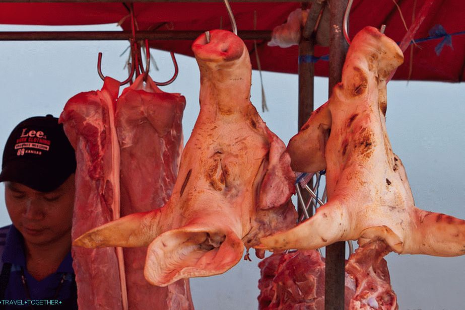 Fresh heads of pigs, almost grunts