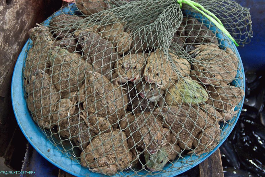 I did not buy frogs on the market