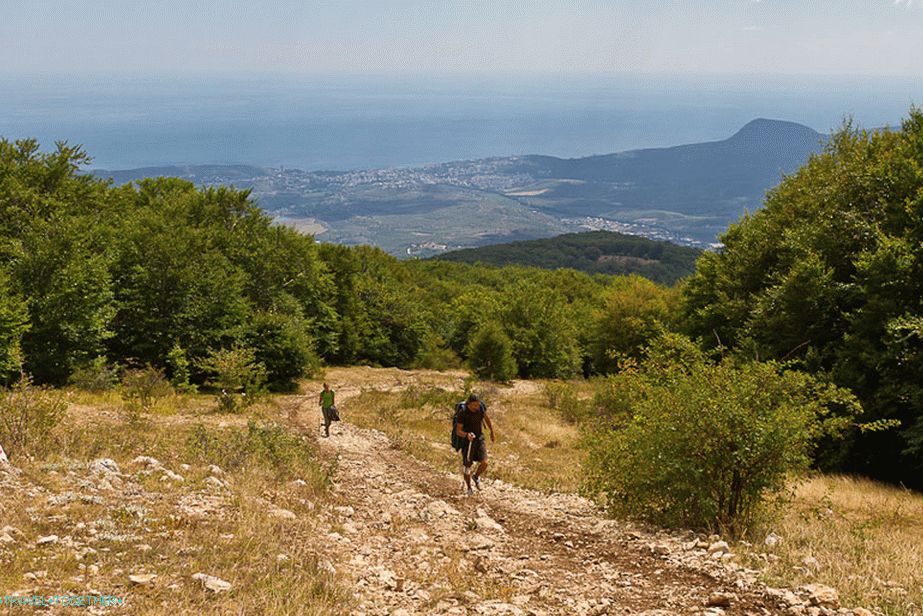 Left the forest and climb on Chatyr Dag