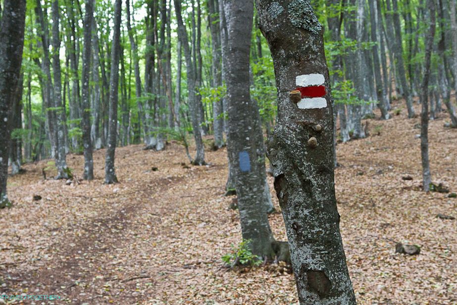 Path marked with tags