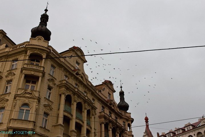 In Prague, many many roofs with such small towers