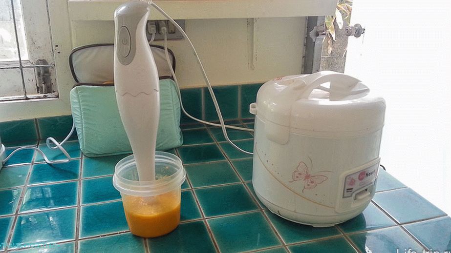 Blender chopped mango