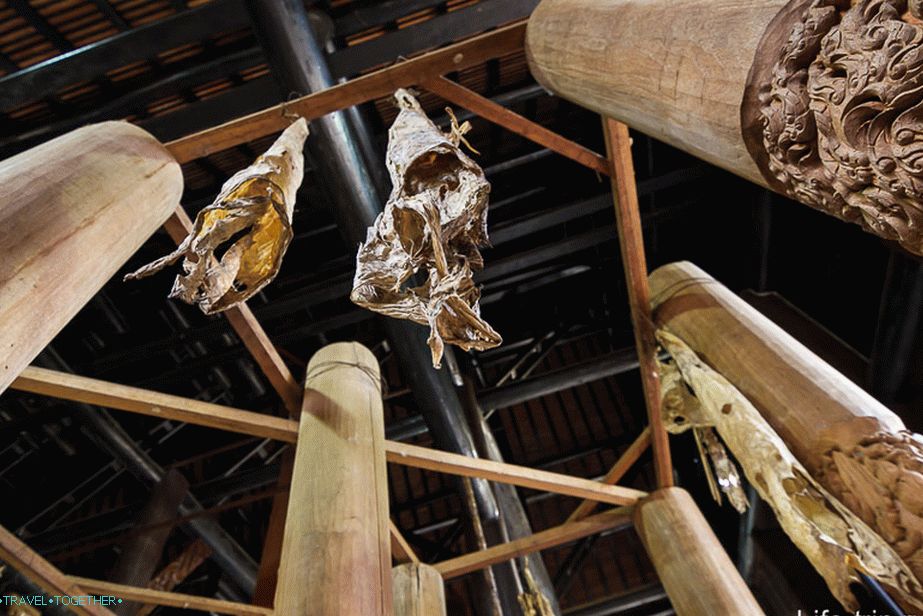 Dead carcasses hang under the ceiling