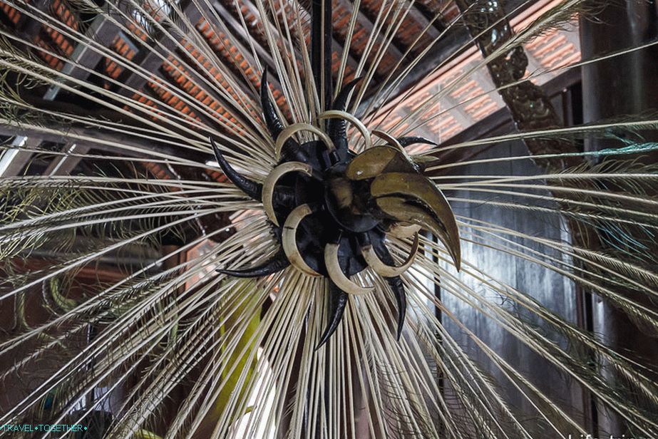 This is what can be made from beaks, claws and feathers