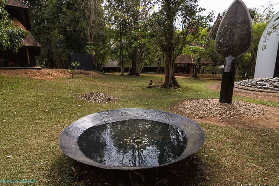 Scenery in the meadow