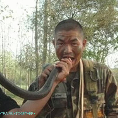 Special Forces in Thailand