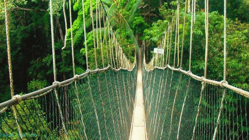 Rope bridge in Taman-Negara National Park