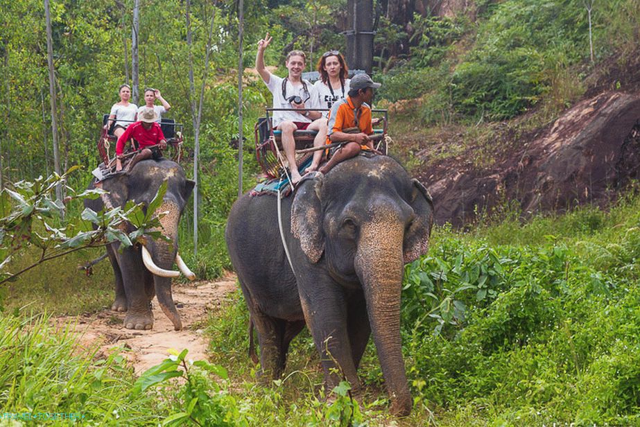 Pokatushki on elephants around Klong Plu Waterfall