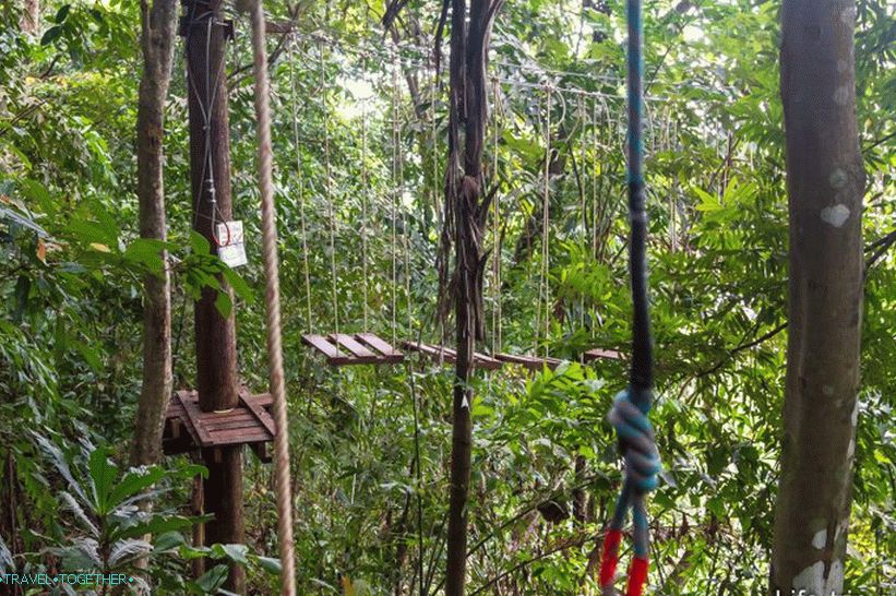 Rope park Tree top adventure