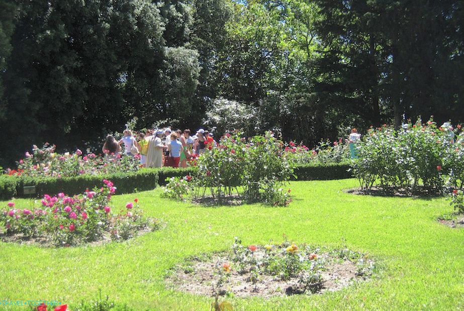 Nikitsky Botanical Garden