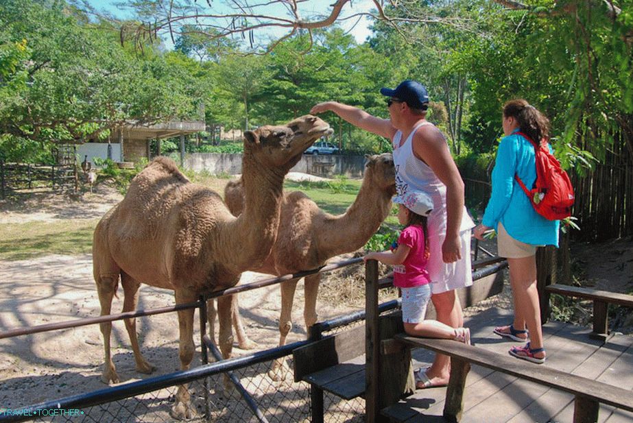 What to see in Pattaya on my own - my list