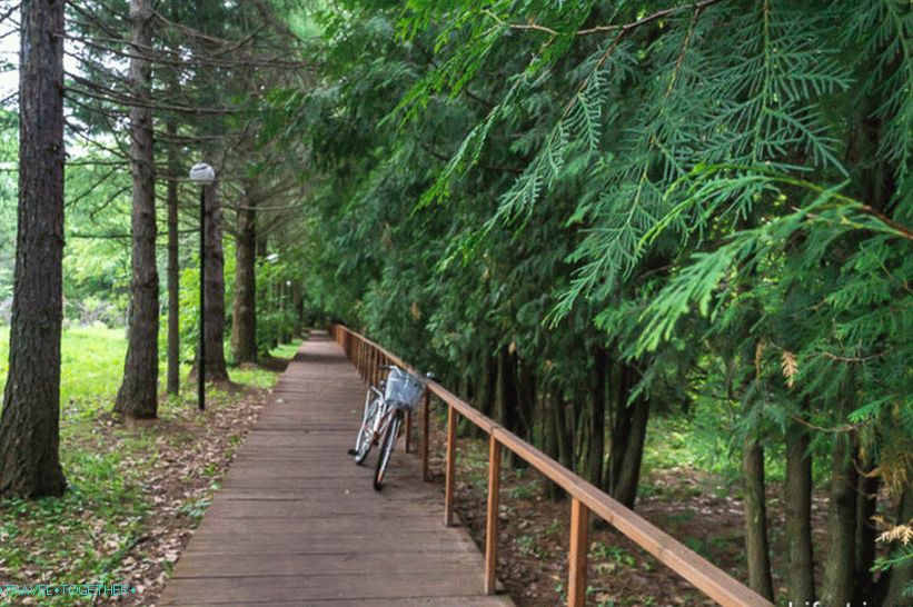 Arboretum in Pereslavl