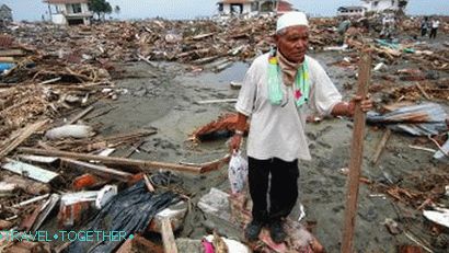 The consequences of the 2004 tsunami