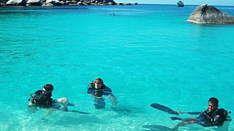 Diving on Samui, Koh Tao, Nang Yuan with a Russian guide
