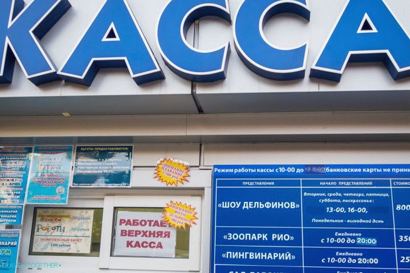 Dolphinarium Riviera in Sochi - family holidays with dolphins