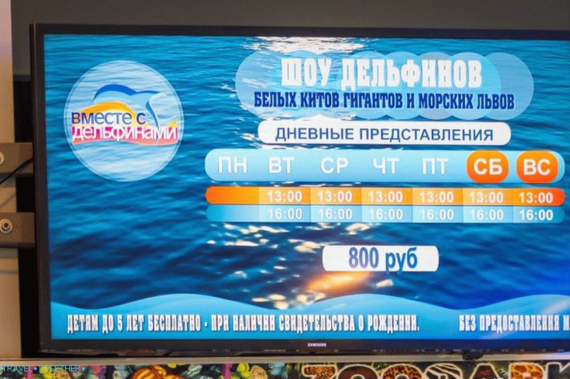 Dolphinarium Riviera in Sochi - family holidays with dolphins