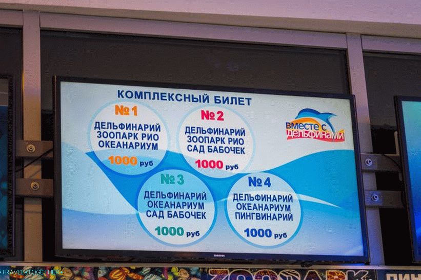 Dolphinarium Riviera in Sochi - family holidays with dolphins